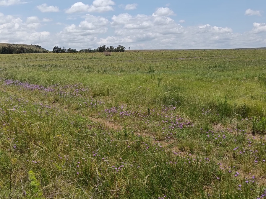 0 Bedroom Property for Sale in Lindley Rural Free State